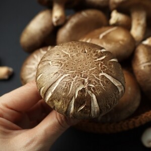 [청석굴농원] 생표고버섯 1kg