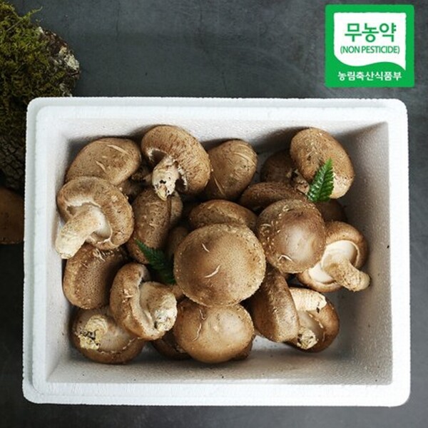 청원생명쇼핑몰,[해오름농원] 무농약 표고버섯 선물세트 특대 1kg